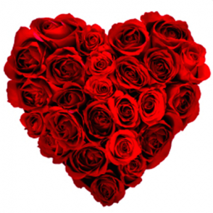 heart roses