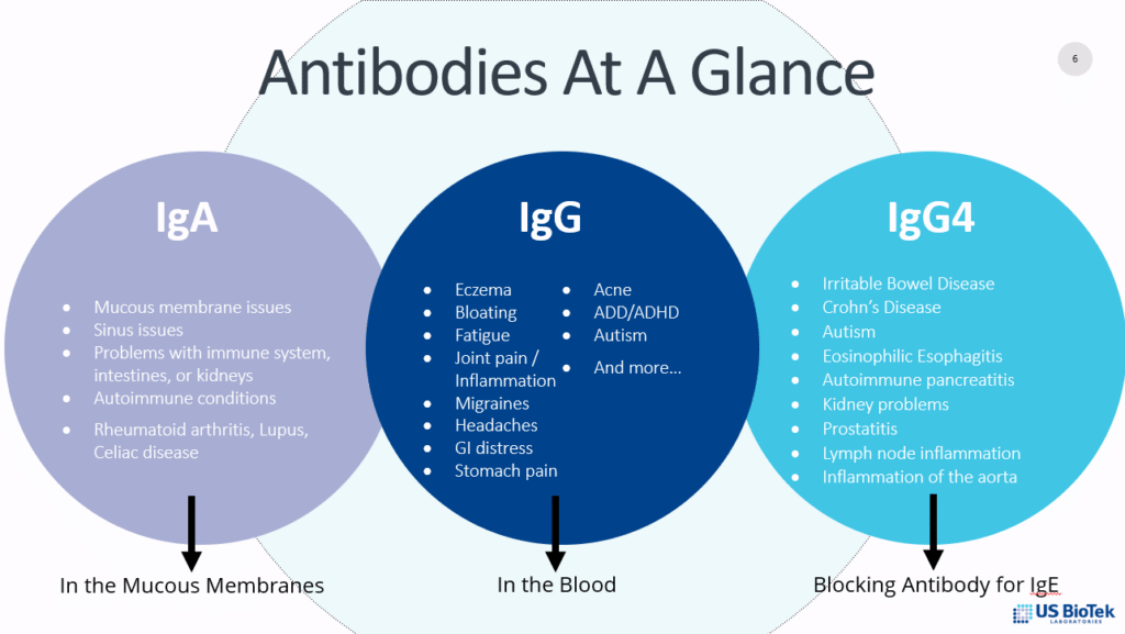 A chart explaining antibodies for IgA (mucus membranes, etc), IgG (joint pain, headaches, GI trouble), and IgG4 (IBS, kidney problems, etc). 