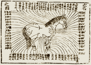 equine acupuncture